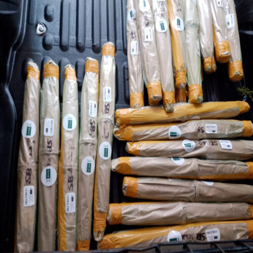 CINCEL-PIRAMIDAL-SB202